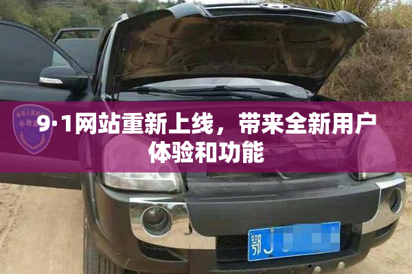 9·1网站重新上线，带来全新用户体验和功能