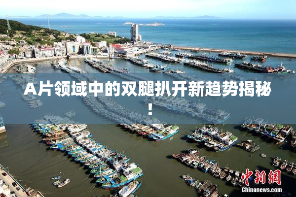 A片领域中的双腿扒开新趋势揭秘！