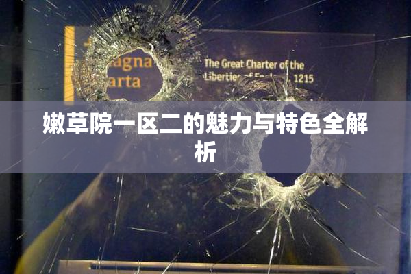 嫩草院一区二的魅力与特色全解析