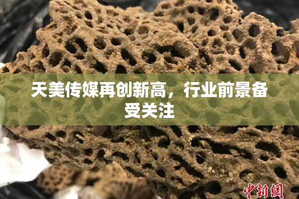 天美传媒再创新高，行业前景备受关注