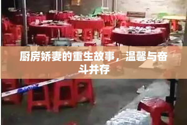 厨房娇妻的重生故事，温馨与奋斗并存