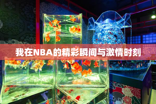 我在NBA的精彩瞬间与激情时刻