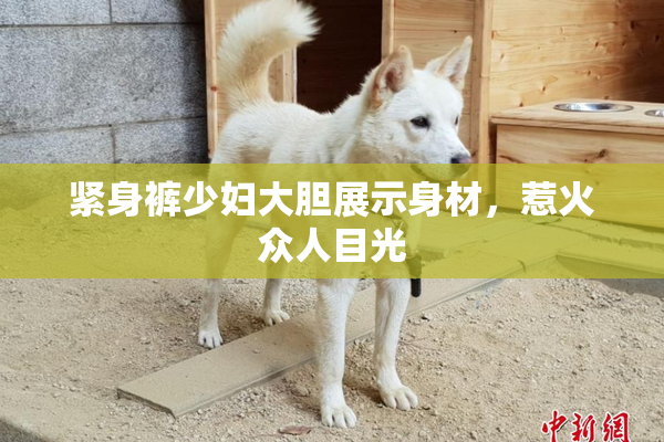 紧身裤少妇大胆展示身材，惹火众人目光
