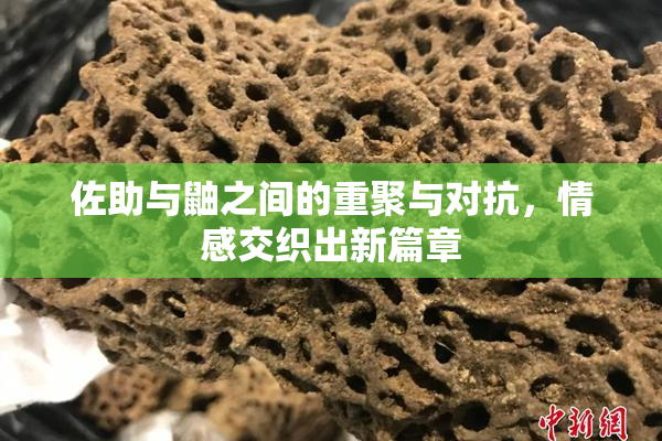 佐助与鼬之间的重聚与对抗，情感交织出新篇章