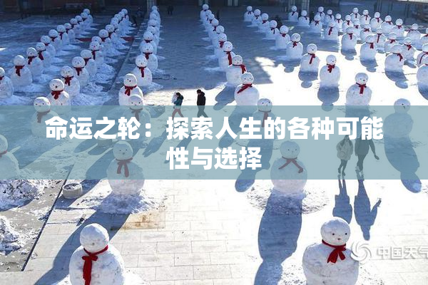 命运之轮：探索人生的各种可能性与选择