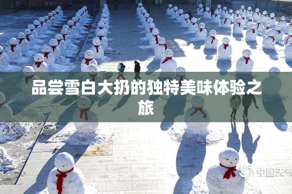 品尝雪白大扔的独特美味体验之旅