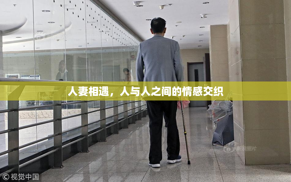 人妻相遇，人与人之间的情感交织