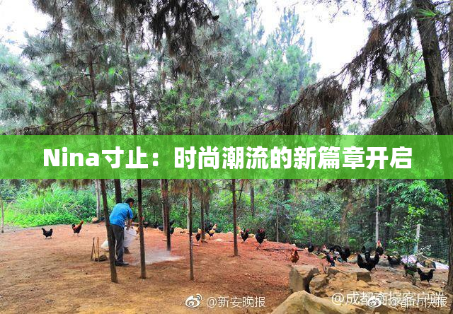 Nina寸止：时尚潮流的新篇章开启