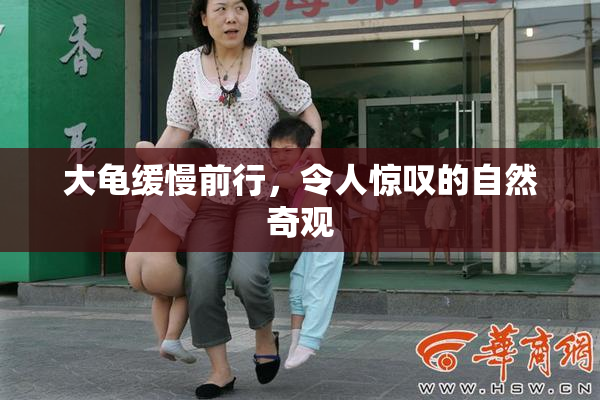 大龟缓慢前行，令人惊叹的自然奇观