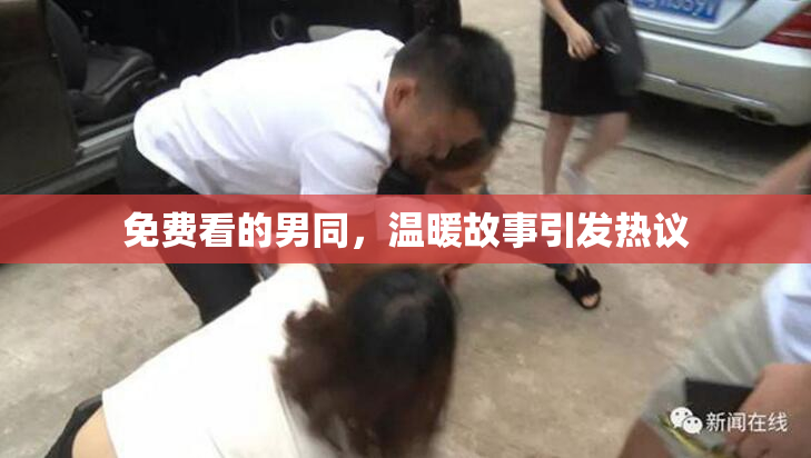 免费看的男同，温暖故事引发热议