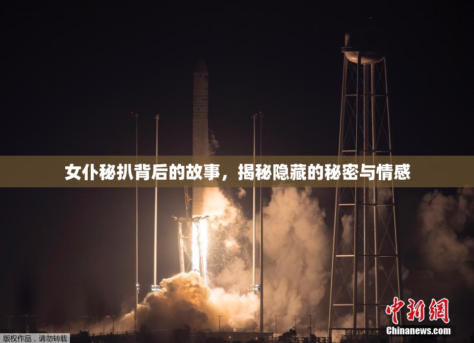 女仆秘扒背后的故事，揭秘隐藏的秘密与情感