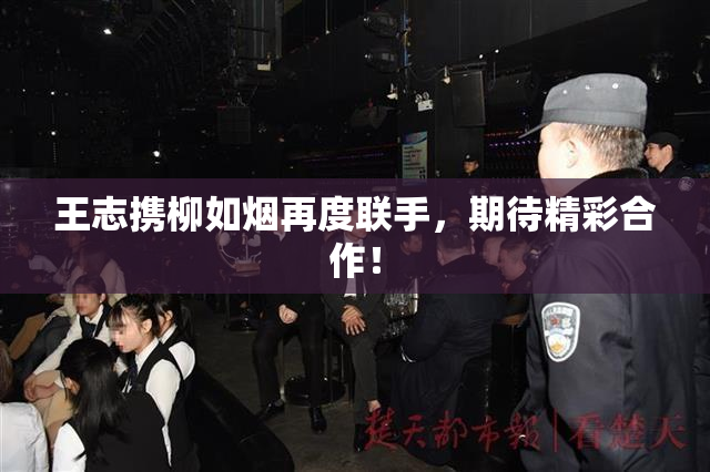 王志携柳如烟再度联手，期待精彩合作！