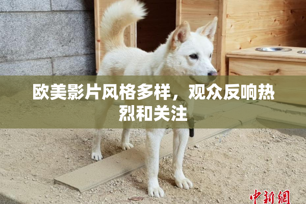 欧美影片风格多样，观众反响热烈和关注