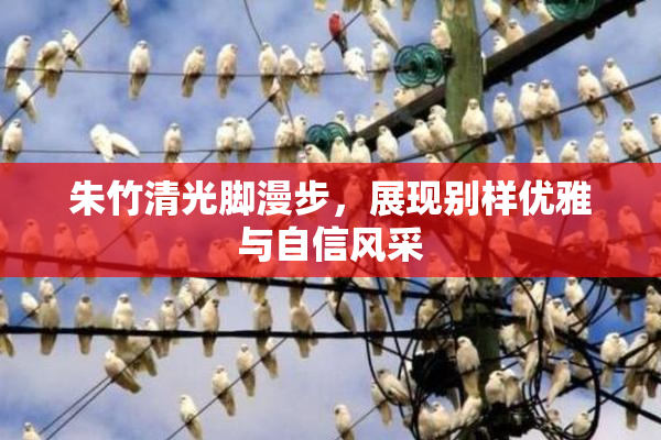 朱竹清光脚漫步，展现别样优雅与自信风采