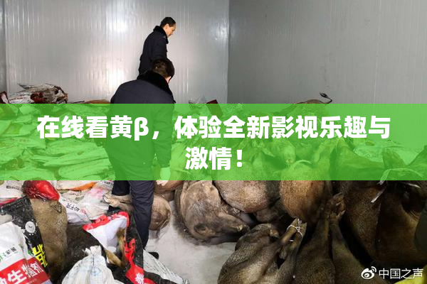 在线看黄β，体验全新影视乐趣与激情！
