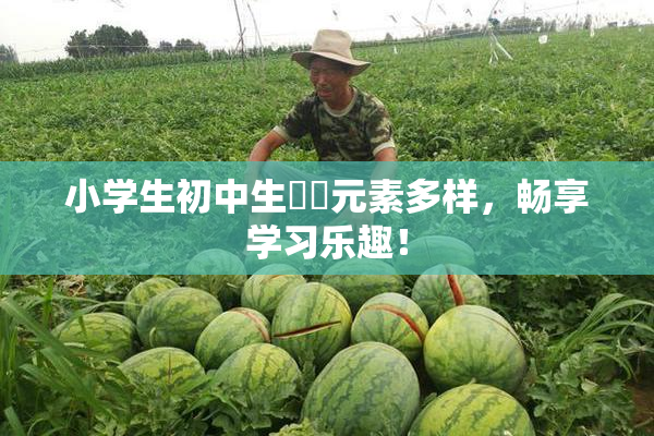小学生初中生❌‌元素多样，畅享学习乐趣！