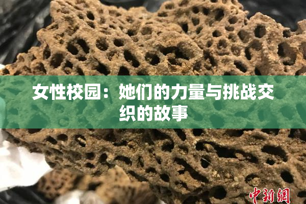 女性校园：她们的力量与挑战交织的故事