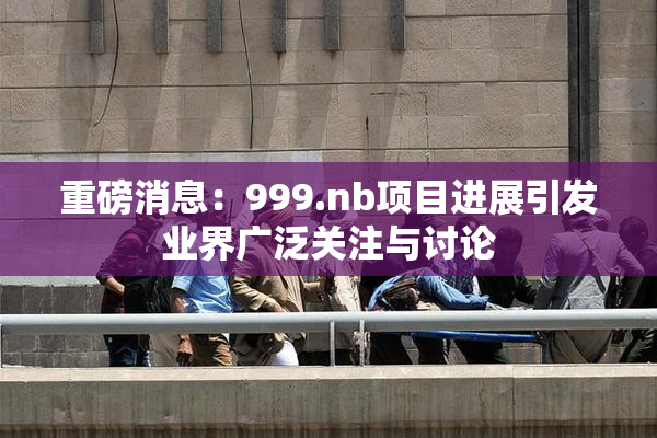 重磅消息：999.nb项目进展引发业界广泛关注与讨论