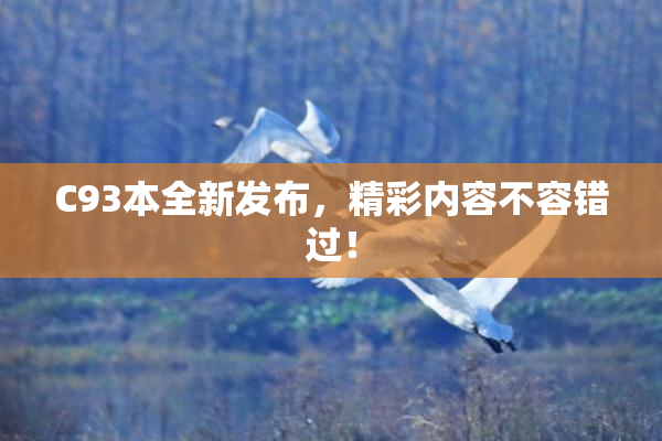 C93本全新发布，精彩内容不容错过！