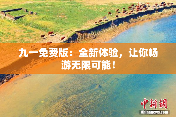 九一免费版：全新体验，让你畅游无限可能！