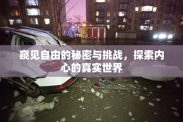 窥见自由的秘密与挑战，探索内心的真实世界