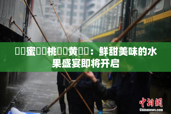 ❌‌蜜❌‌桃❌‌黄❌‌：鲜甜美味的水果盛宴即将开启