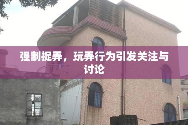 强制捉弄，玩弄行为引发关注与讨论