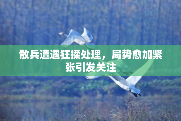 散兵遭遇狂揉处理，局势愈加紧张引发关注