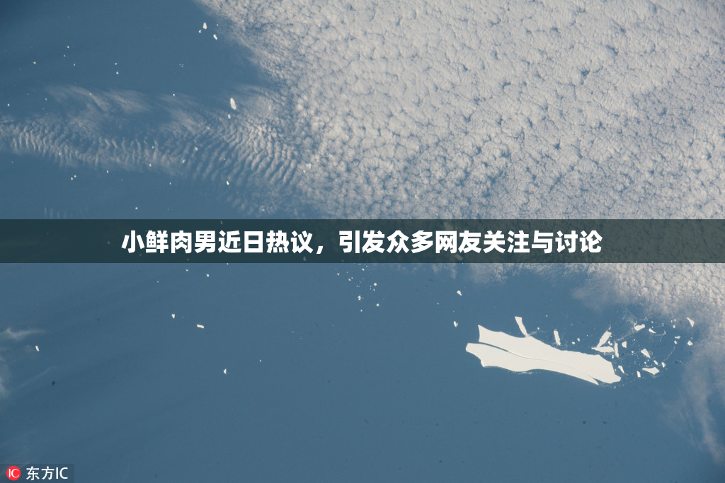 小鲜肉男近日热议，引发众多网友关注与讨论