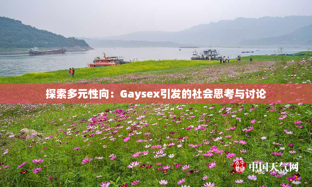 探索多元性向：Gaysex引发的社会思考与讨论