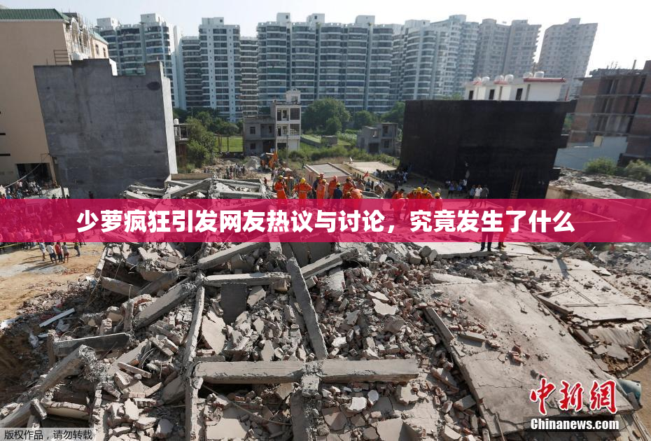 少萝疯狂引发网友热议与讨论，究竟发生了什么