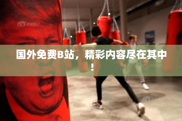 国外免费B站，精彩内容尽在其中！