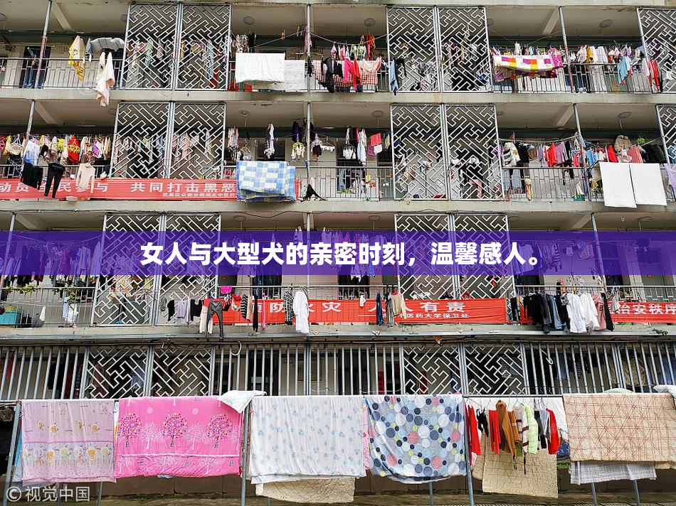 女人与大型犬的亲密时刻，温馨感人。