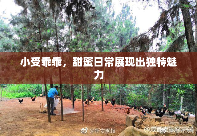 小受乖乖，甜蜜日常展现出独特魅力