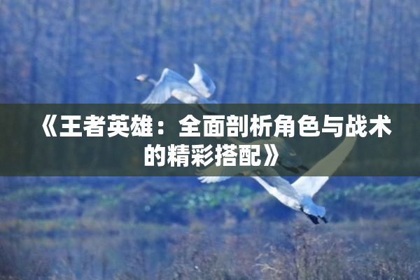 《王者英雄：全面剖析角色与战术的精彩搭配》