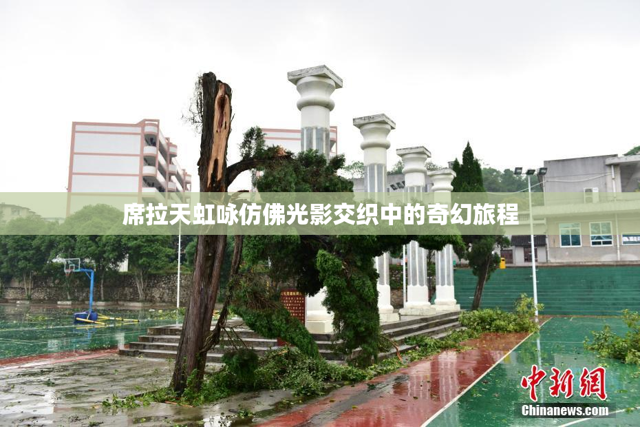 席拉天虹咏仿佛光影交织中的奇幻旅程