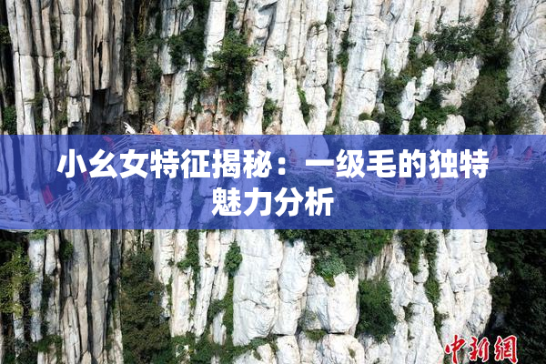 小幺女特征揭秘：一级毛的独特魅力分析