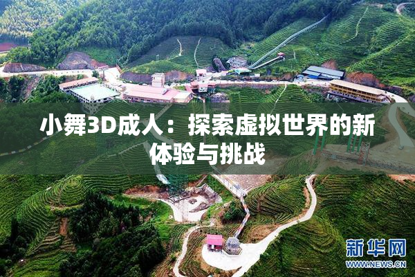 小舞3D成人：探索虚拟世界的新体验与挑战