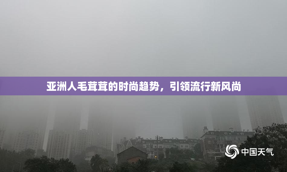 亚洲人毛茸茸的时尚趋势，引领流行新风尚
