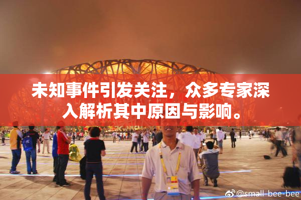 未知事件引发关注，众多专家深入解析其中原因与影响。