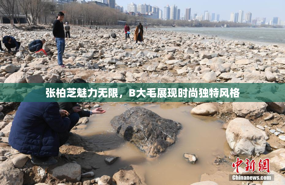 张柏芝魅力无限，B大毛展现时尚独特风格