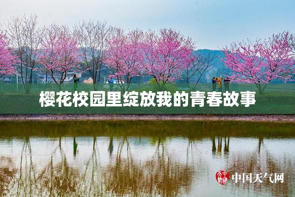 樱花校园里绽放我的青春故事
