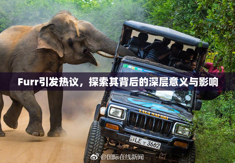 Furr引发热议，探索其背后的深层意义与影响