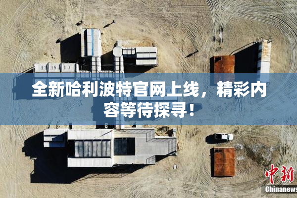 全新哈利波特官网上线，精彩内容等待探寻！
