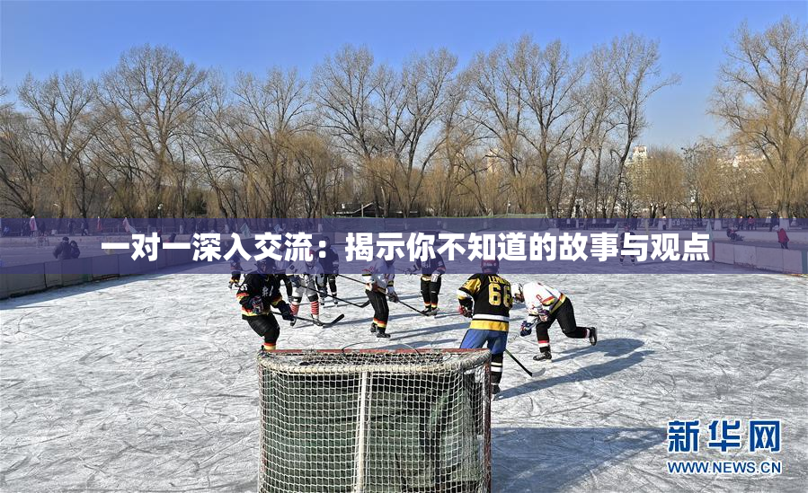 一对一深入交流：揭示你不知道的故事与观点