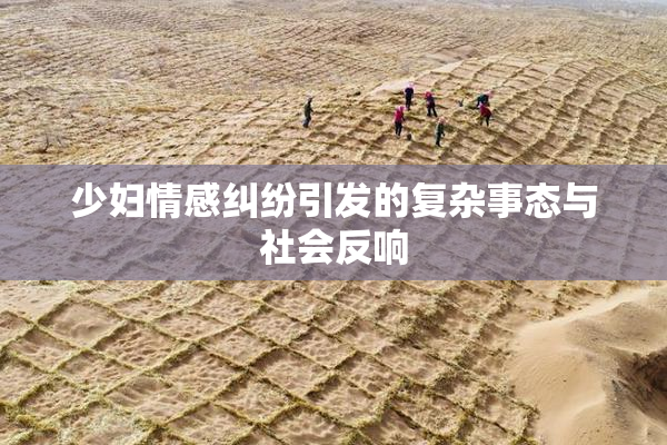 少妇情感纠纷引发的复杂事态与社会反响