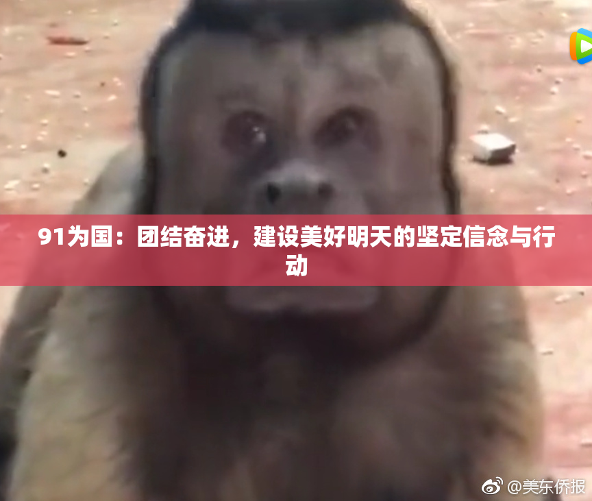 91为国：团结奋进，建设美好明天的坚定信念与行动