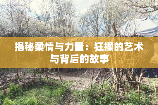 揭秘柔情与力量：狂揉的艺术与背后的故事