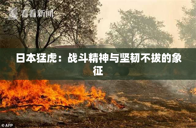 日本猛虎：战斗精神与坚韧不拔的象征