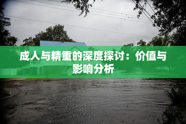 成人与精重的深度探讨：价值与影响分析